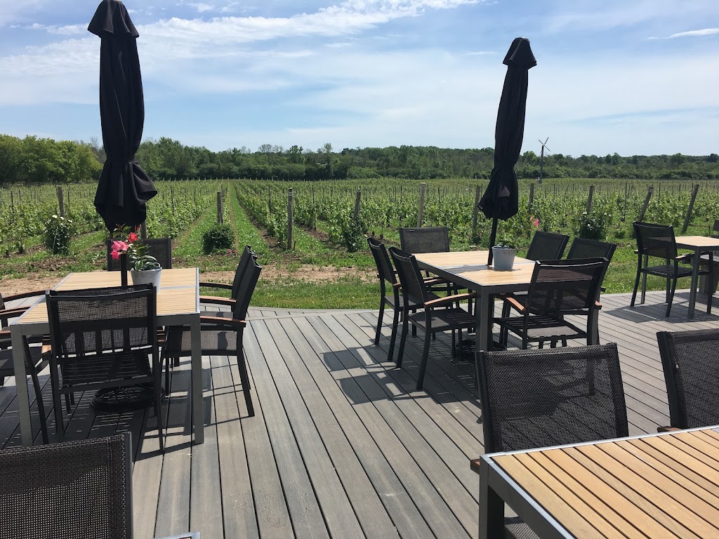 Tinas Wine Tours of Prince Edward County | 13370 Loyalist Pkwy, Picton, ON K0K 2T0, Canada | Phone: (613) 476-2884