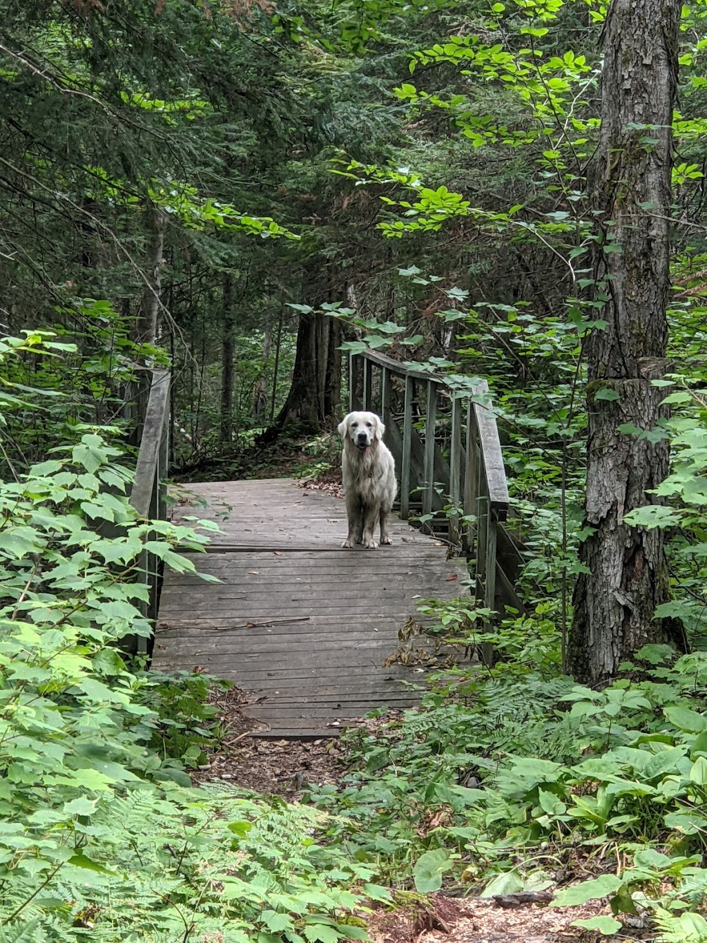 Marten River Provincial Park | 2860 ON-11, Marten River, ON P0H 1T0, Canada | Phone: (705) 892-2200