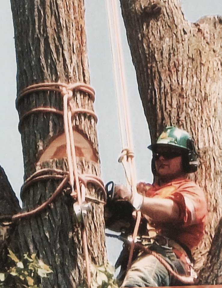 Bush Solutions Tree Service | 1308 Simpson Pit Rd, Killaloe, ON K0J 2A0, Canada | Phone: (613) 757-2470