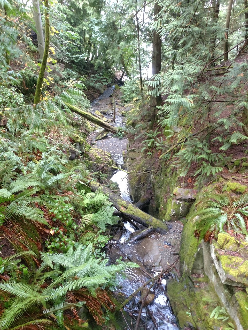 Manley Creek Park | Ratcliffe Rd, Cobble Hill, BC V0R 1L4, Canada