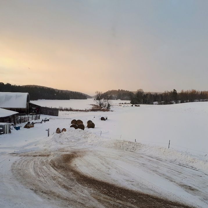 Ferme Sage | 157 Chem. Sage, Lac-Sainte-Marie, QC J0X 1Z0, Canada | Phone: (819) 467-2979