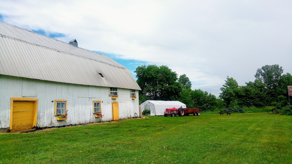 La Ferme dOc | 2875 Chem. Royal, Sainte-Famille, QC G0A 3P0, Canada | Phone: (418) 931-5417