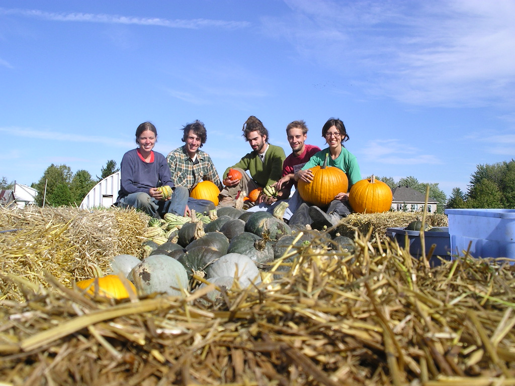 Ferme Coopérative Tourne-Sol / Tourne-Sol Co-operative Farm | 1035 Chem. Saint-Dominique, Les Cèdres, QC J7T 1P5, Canada | Phone: (450) 452-4271