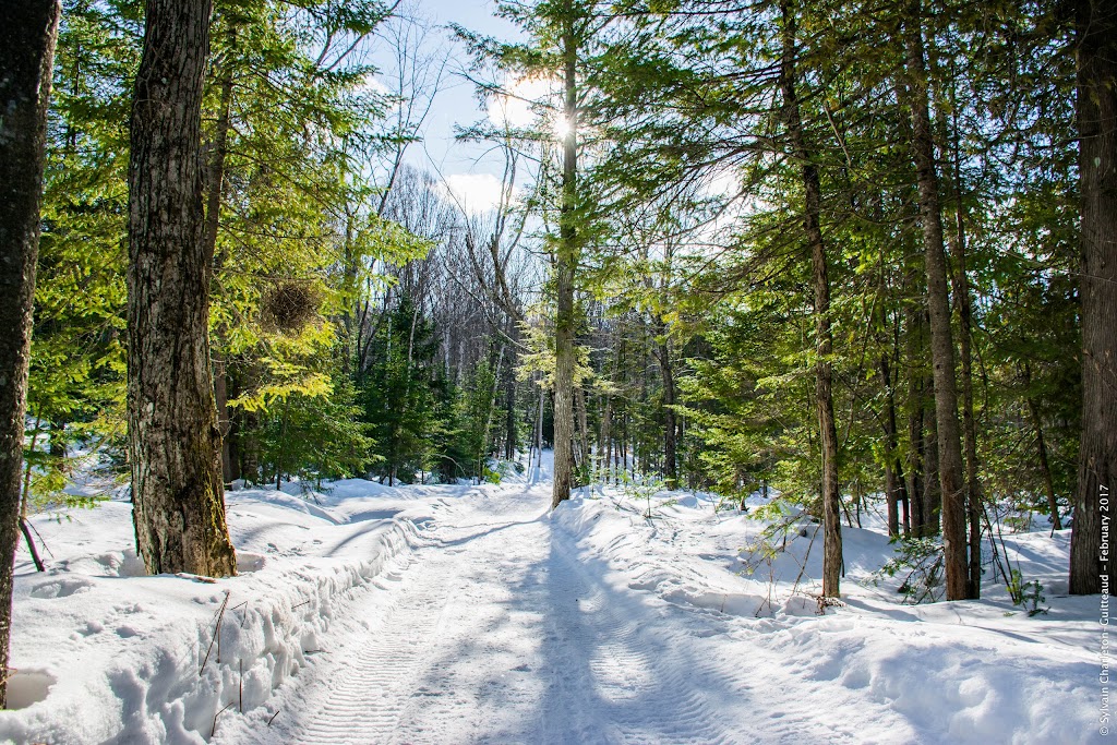 Martin le pêcheur | 265 Av. Canadienne, Sainte-Adèle, QC J8B 2J4, Canada | Phone: (450) 229-7020