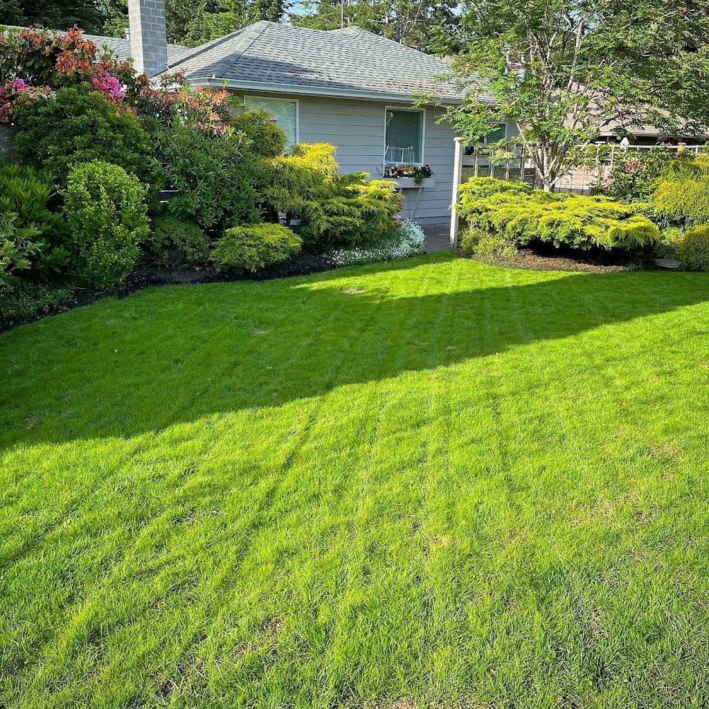 Terra Vie Landscaping | Piercy Rd, Courtenay, BC V9J 1P7, Canada | Phone: (250) 207-0599