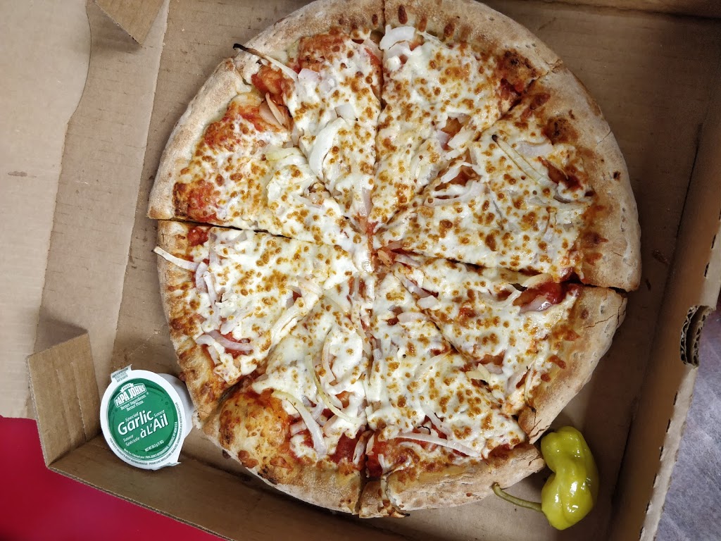 Papa Johns Pizza | 307 E 27th St, Hamilton, ON L8V 3G5, Canada | Phone: (905) 388-2727