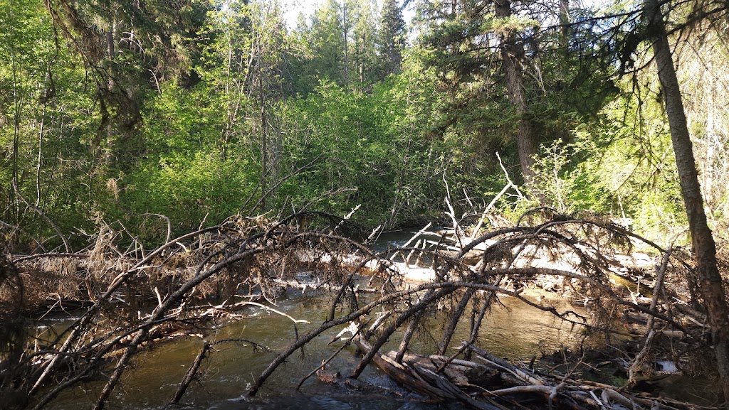 Cherry Creek Rest Area | Kimberley Hwy, Kimberley, BC V1A 3L5, Canada | Phone: (800) 663-7867