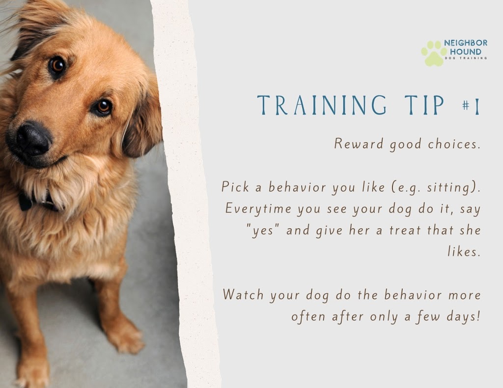 Neighborhound Dog Training | Forest Grove Dr, Burnaby, BC V5A 4H5, Canada | Phone: (604) 265-8720