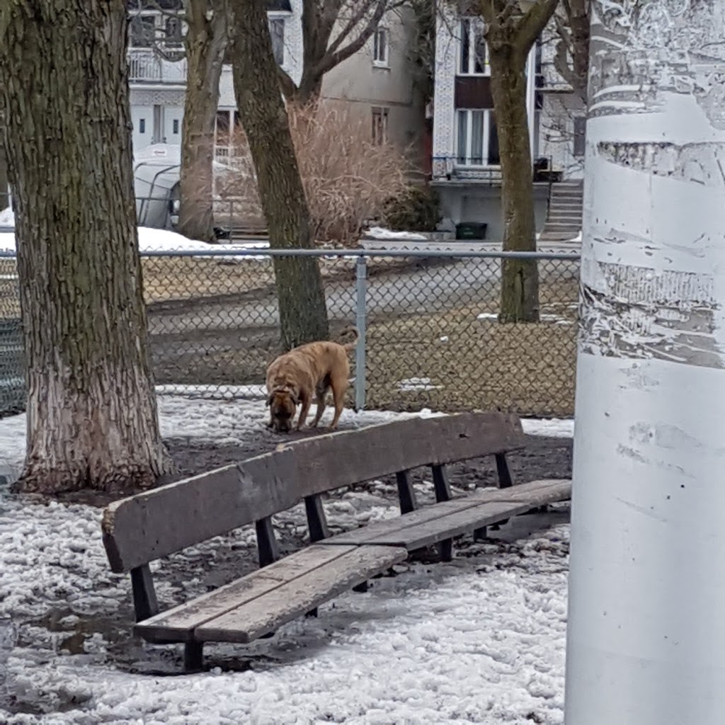 Parc De La Bruère | Avenue Dubuisson, Montréal, QC H1L, Canada