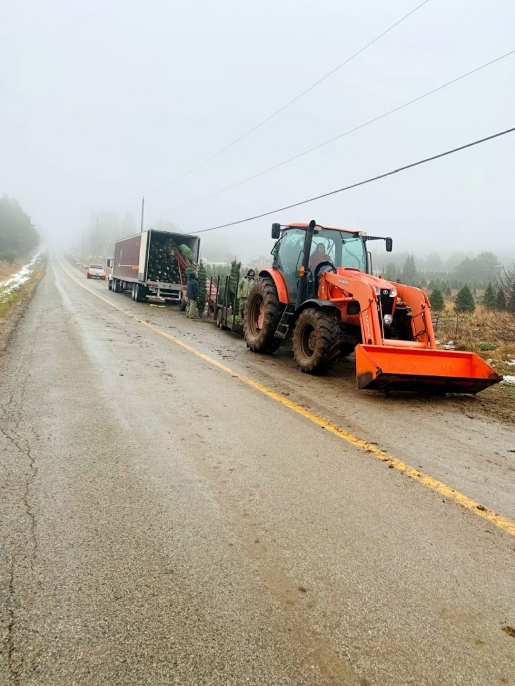 Georgian Bay Tree Farms | 6073 Line 4 N, Oro-Medonte, ON L4R 4K3, Canada | Phone: (647) 278-3225