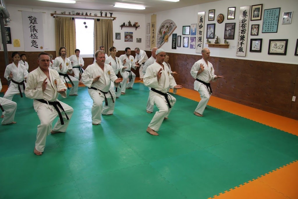 Budokan Karate | 69 Colborne St W, Brantford, ON N3T 1K6, Canada | Phone: (519) 720-9230