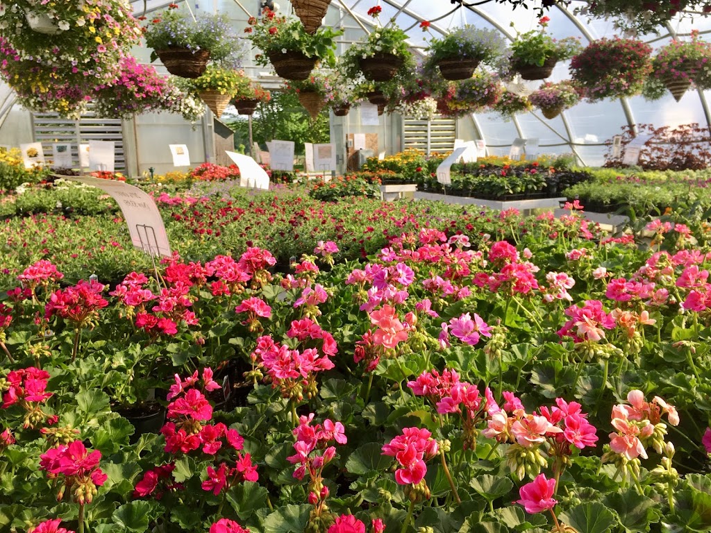 Neilys Greenhouse and Gardens | 10139 Nova Scotia Trunk 1, Paradise, NS B0S 1R0, Canada | Phone: (902) 824-1144