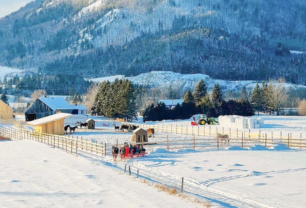 Les Montagnards de Charlevoix | Randonnée équestre | 652 Chemin St Laurent, Baie-Saint-Paul, QC G3Z 2L7, Canada | Phone: (418) 580-7816