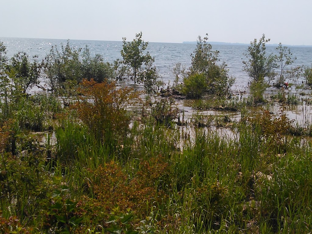 Morgan’s Point Conservation Area | 11420 Morgans Point Rd, Morgans Point, ON, Canada | Phone: (905) 788-3135