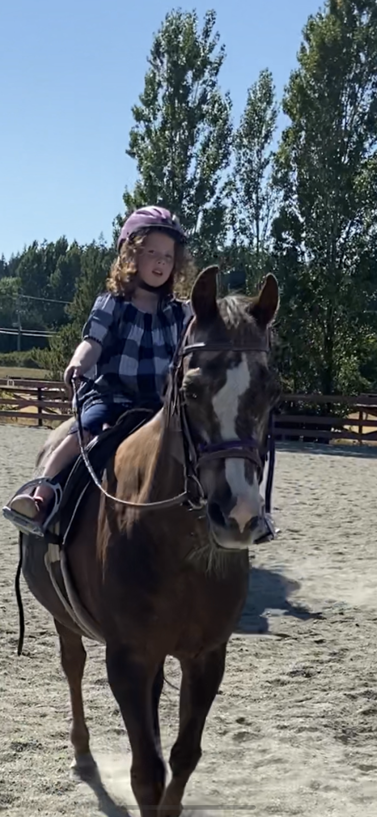 Giddy-Up Equestrian | 5480 Sooke Rd, Sooke, BC V9Z 0C7, Canada | Phone: (236) 882-2023