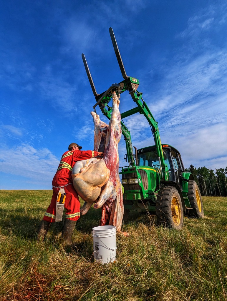 M&A Mobile Butcher | 21450 AB-21, Bashaw, AB T0B 0H0, Canada | Phone: (780) 898-5919