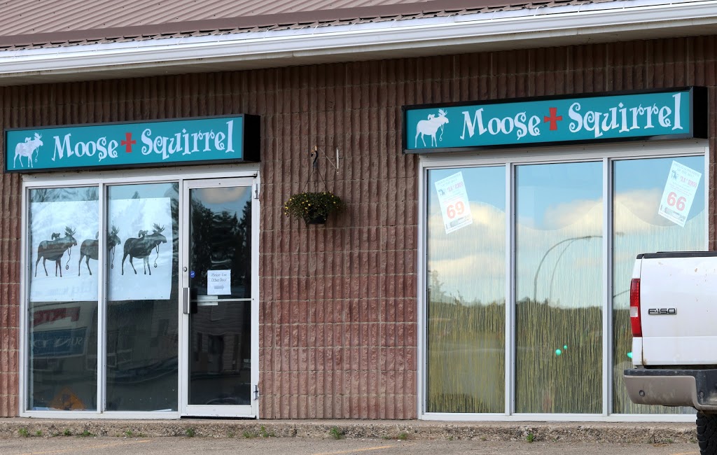 Moose & Squirrel Medical Clinic | 200 Main Ave W, Sundre, AB T0M 1X0, Canada | Phone: (403) 638-4433