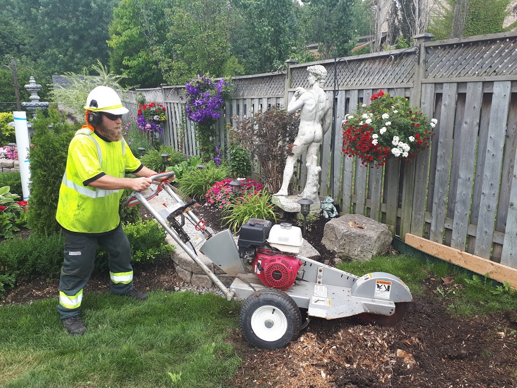 Francis Property and Tree Care | 2780 ON-35, Lindsay, ON K9V 4R4, Canada | Phone: (705) 241-9905