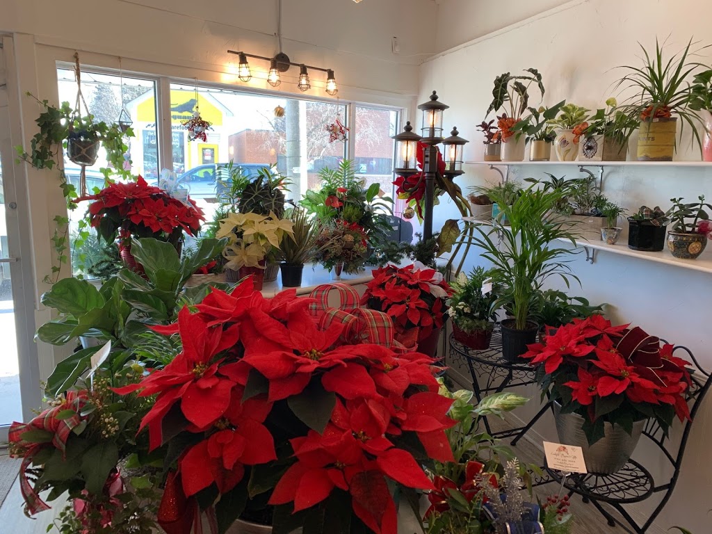 Lakefield Flowers & Gifts | 56 Queen St, Lakefield, ON K0L 2H0, Canada | Phone: (705) 652-6855