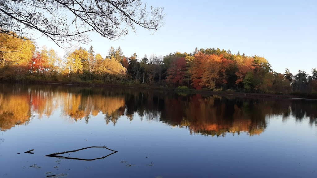 Swan Lake Outdoor Education Centre | 1229 Bethesda Side Rd, Richmond Hill, ON L4E 1A2, Canada | Phone: (905) 888-7024