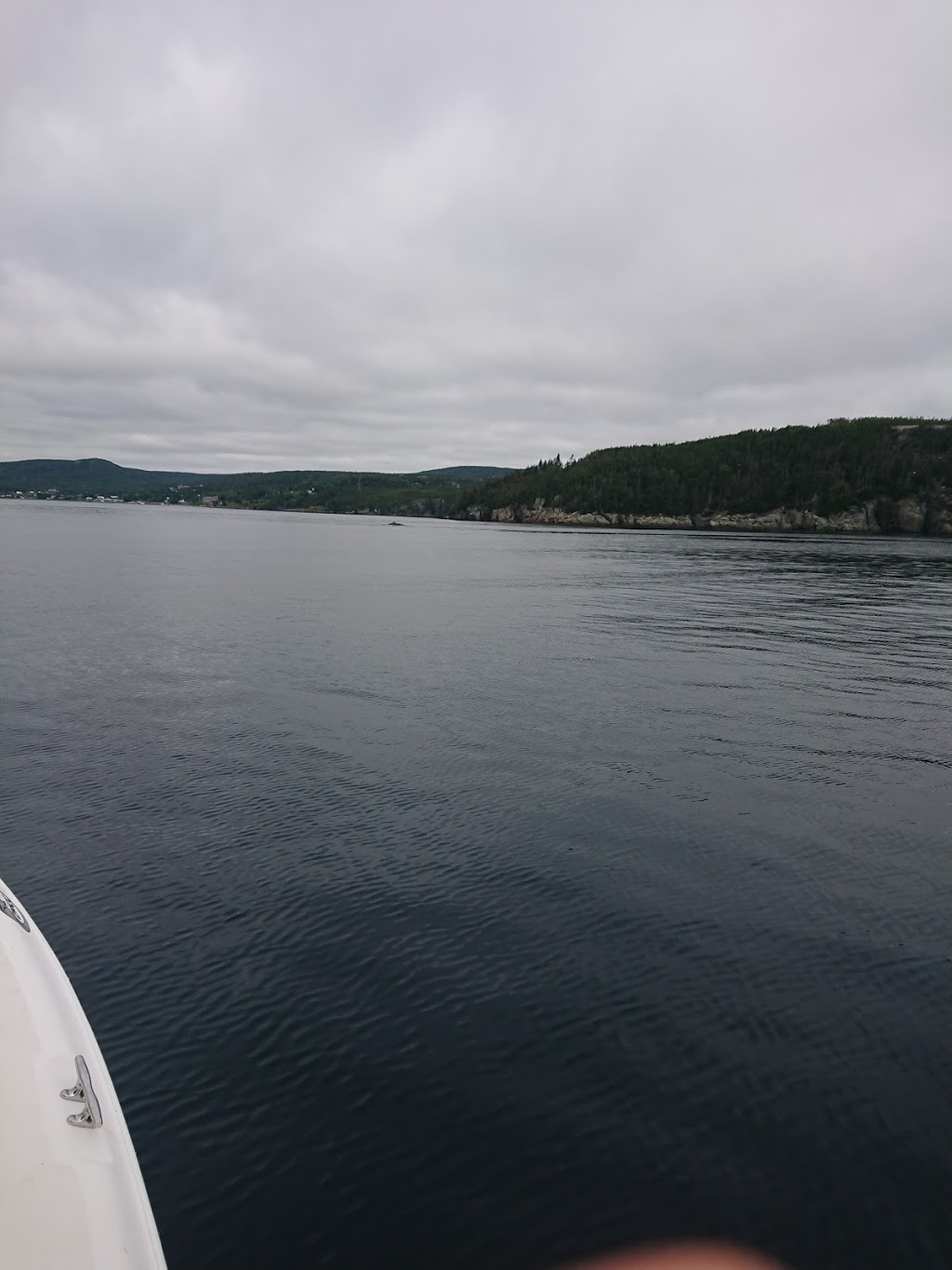 Cape Broyle Head Path | Southside Rd, Calvert, NL A0A 1N0, Canada