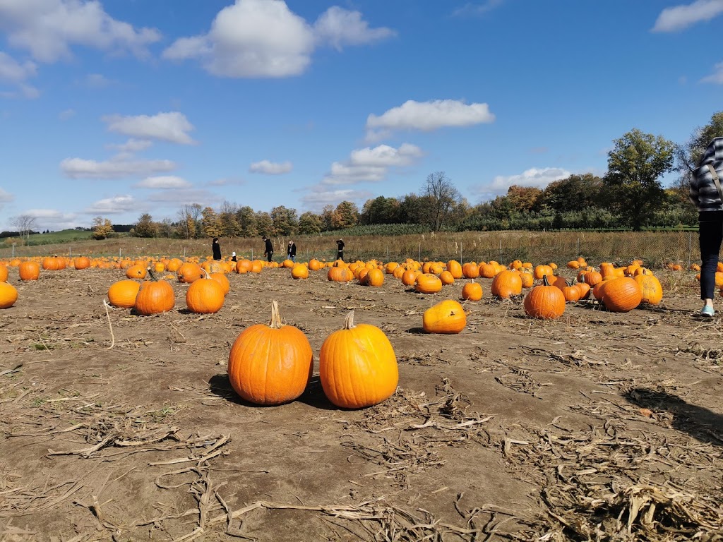 Natures Bounty Farm | 651 Scugog Line 2, Port Perry, ON L9L 1B3, Canada | Phone: (905) 985-2096