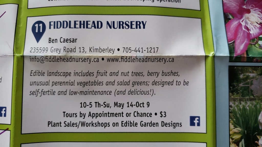 Fiddlehead Nursery | 235599 Grey County Rd 13, Kimberley, ON N0C 1G0, Canada | Phone: (705) 441-1217