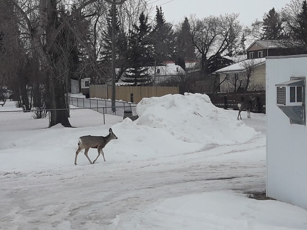 Linden Senior Lodge | 101 1 St NE, Linden, AB T0M 1J0, Canada | Phone: (403) 546-3136