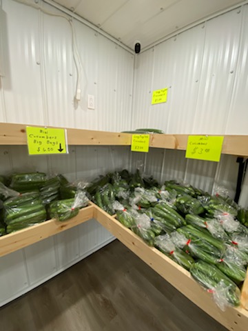 Nature fresh vegetables | 300 Merganser Dr W, Chestermere, AB T1X 1L6, Canada | Phone: (403) 892-6552