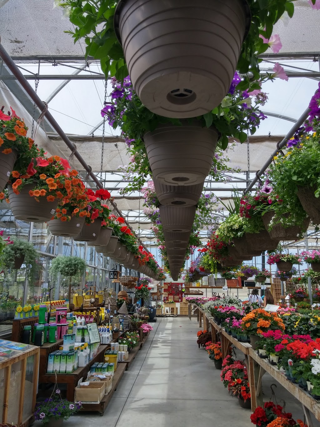 Leslie Gardens Nursery And Greenhouse | 22517 Leslie St, Queensville, ON L0G 1R0, Canada | Phone: (905) 478-8111