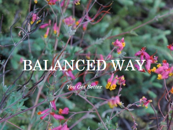 Balanced Way | 44 Palmer Rd, Grimsby, ON L3M 5L5, Canada | Phone: (905) 317-8899