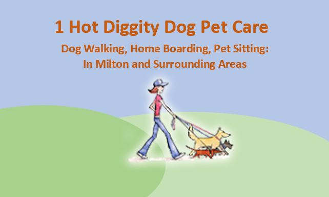 1 Hot Diggity Dog Pet Care | 135 Ontario St N Apt. 202, Milton, ON L9T 2T2, Canada | Phone: (905) 299-7331