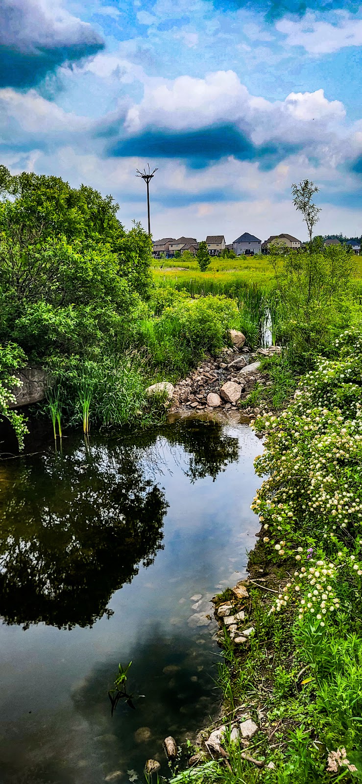 Mike Schout Wetlands Preserve | 28 Smiths Creek Dr, New Hamburg, ON N3A 0B3, Canada | Phone: (519) 634-8444