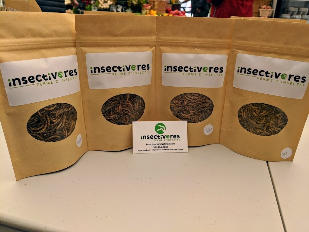 Insectivores | 90 Rue Brisebois, Trois-Rivières, QC G9B 0A5, Canada | Phone: (581) 984-5001