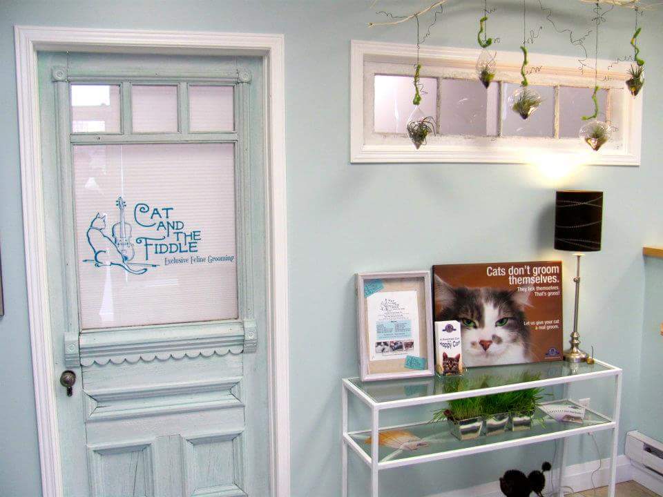 Cat and the Fiddle Exclusive Feline Grooming | inside Lonsdale Grove, 1993 Lonsdale Rd, Breslau, ON N0B 1M0, Canada | Phone: (519) 648-3311