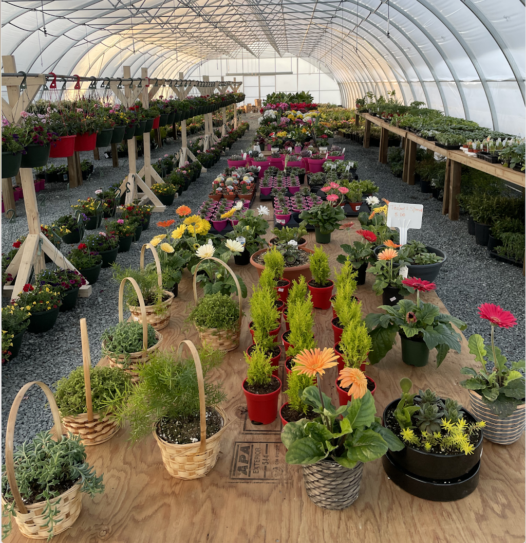 Acme Farms & Nurseries | 10641 Ladner Trunk Rd, Delta, BC V4G 1K2, Canada | Phone: (604) 200-0405