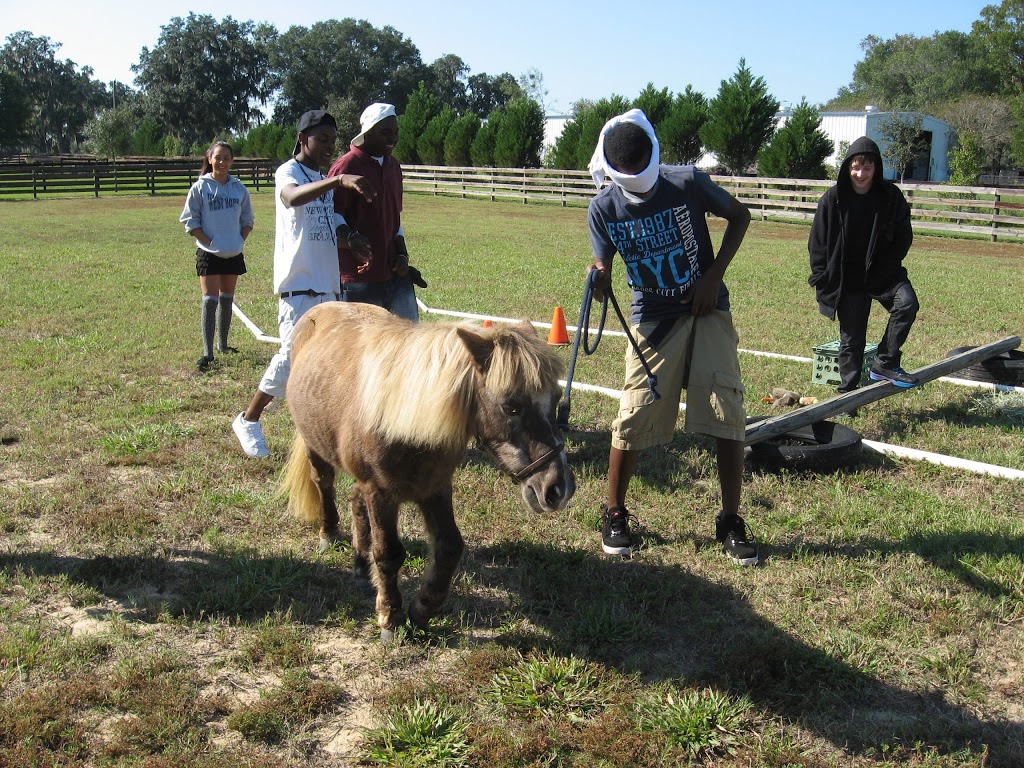 Story Book Meadows Equine Assisted Learning Center & Horse Thera | 8058 Adjala 20 Sideroad, Loretto, ON L0G 1L0, Canada | Phone: (705) 716-7971