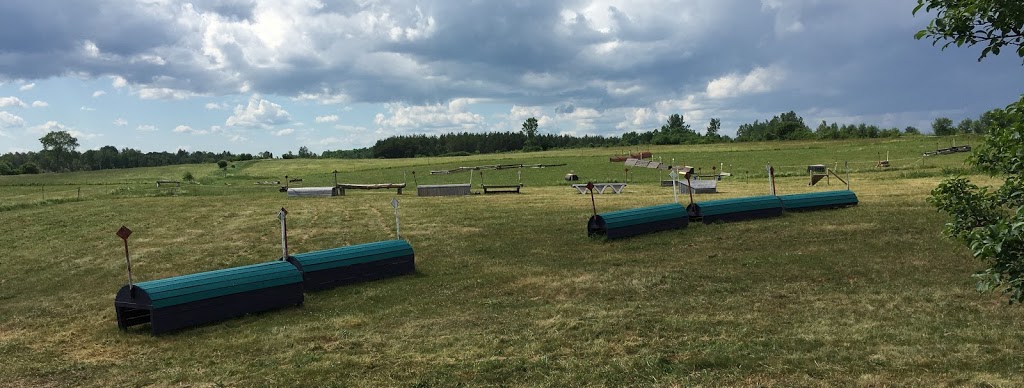 Meadowvale Farm Equestrian Centre | 1247 Corkery Rd, Carp, ON K0A 1L0, Canada | Phone: (613) 256-8170