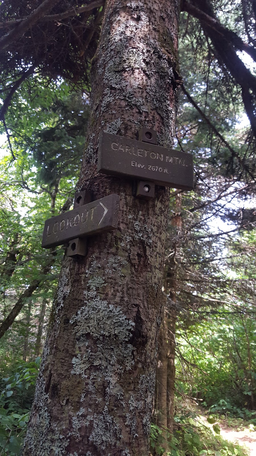 Carleton Mountain | Jay, VT 05859, USA