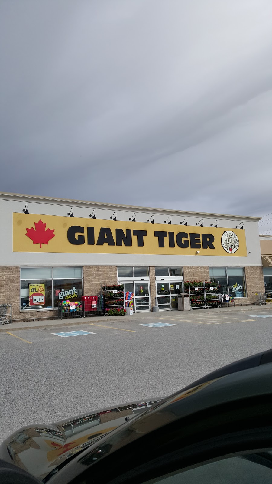 Giant Tiger | 320 Coleman St, Carleton Place, ON K7C 0B5, Canada | Phone: (613) 253-5564