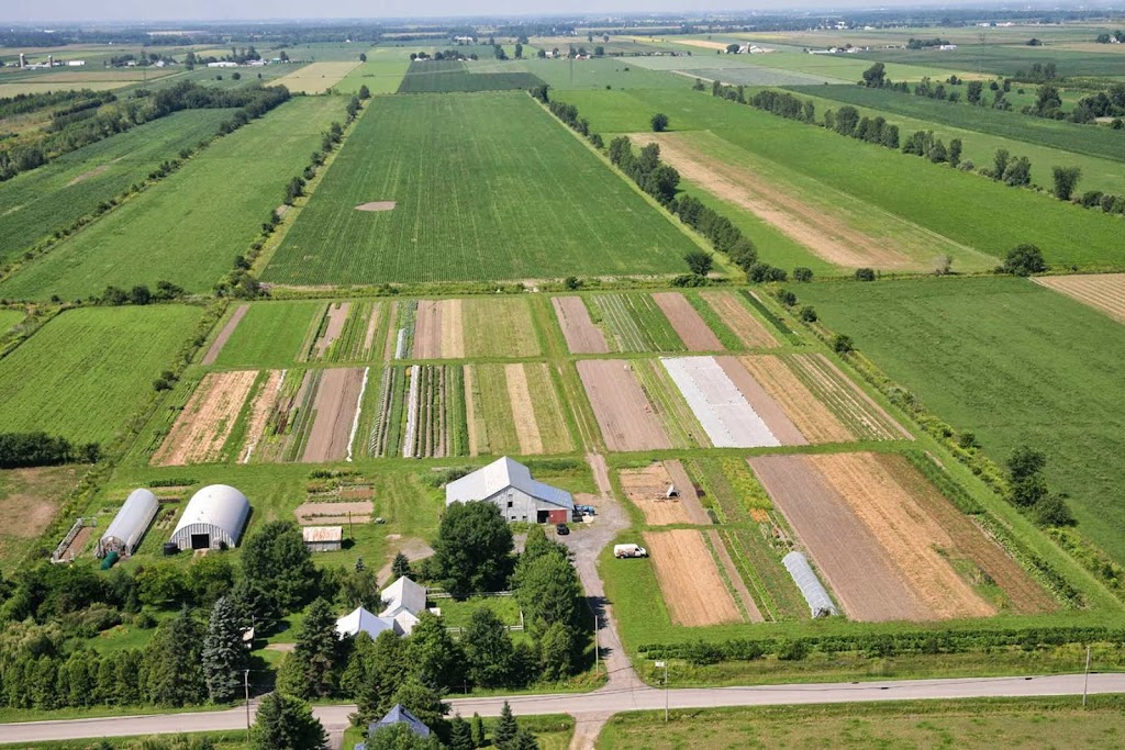 Ferme Coopérative Tourne-Sol / Tourne-Sol Co-operative Farm | 1035 Chem. Saint-Dominique, Les Cèdres, QC J7T 1P5, Canada | Phone: (450) 452-4271