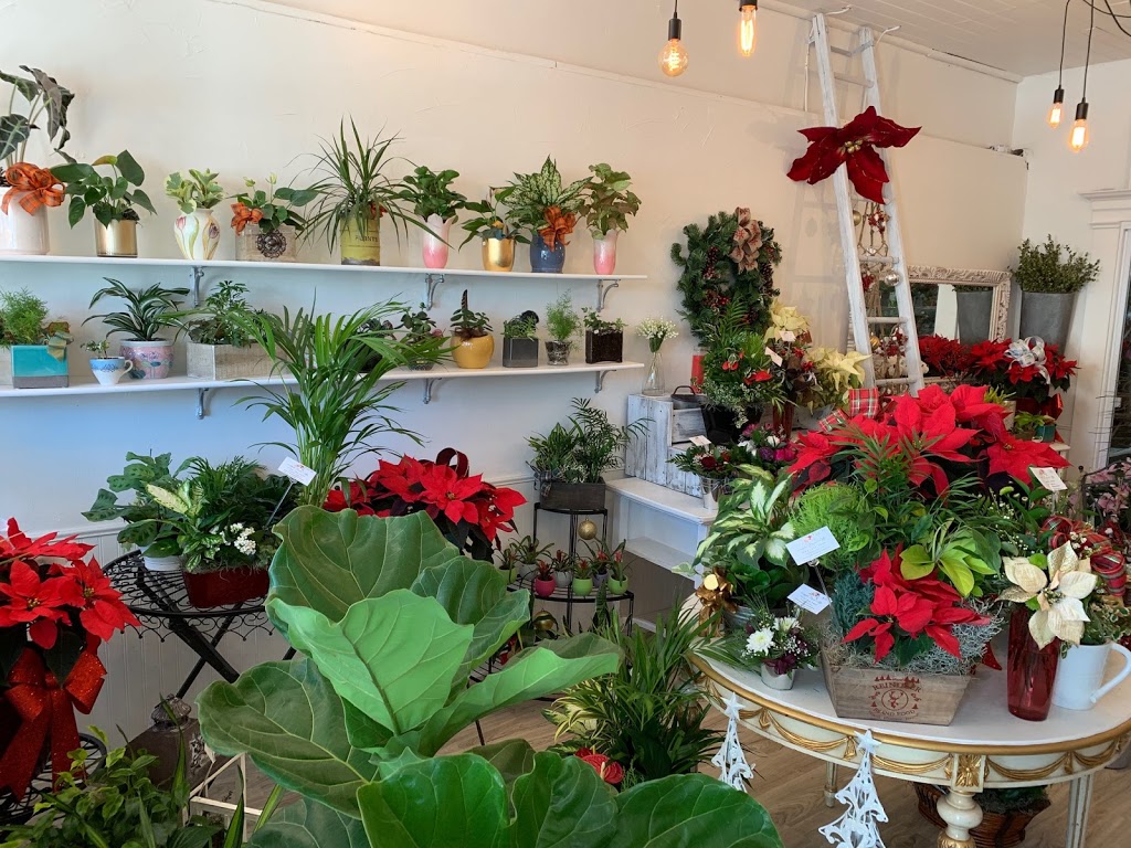 Lakefield Flowers & Gifts | 56 Queen St, Lakefield, ON K0L 2H0, Canada | Phone: (705) 652-6855