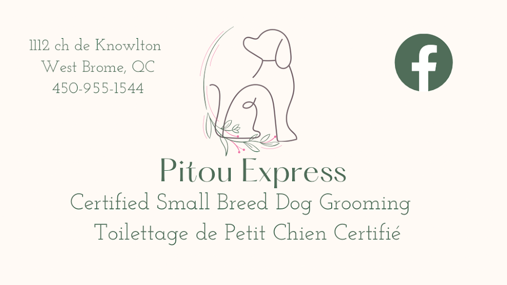 Toilettage Pitou Express | 1112 Chem. Knowlton, West Brome, QC J0E 2P0, Canada | Phone: (450) 955-1544