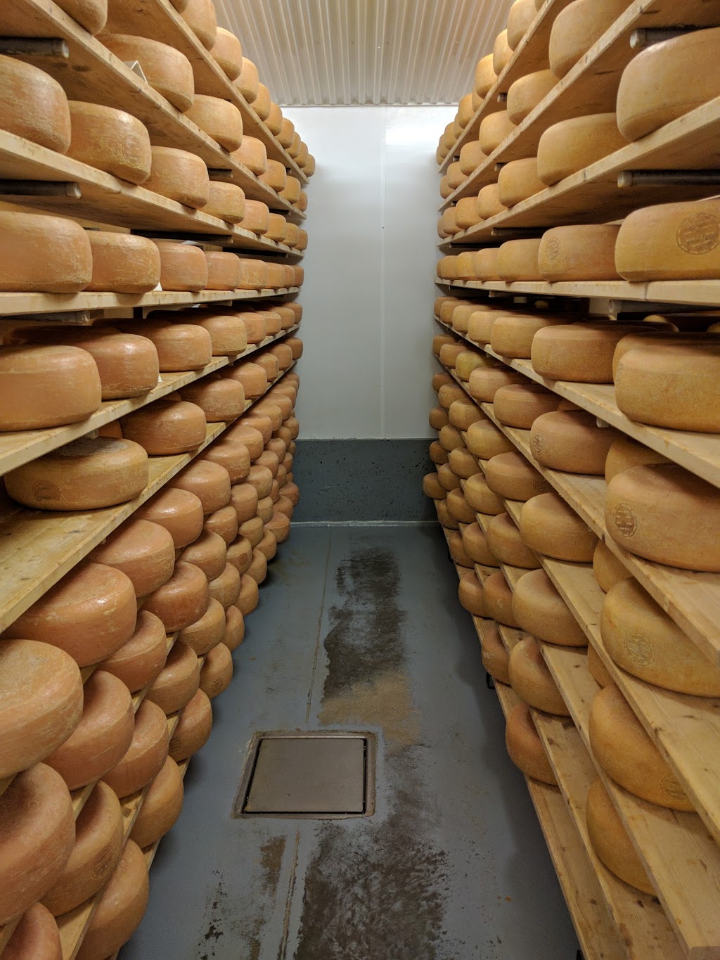 Blyth Farm Cheese | 82521 Allboro Line, Blyth, ON N0M 1H0, Canada | Phone: (226) 523-5884