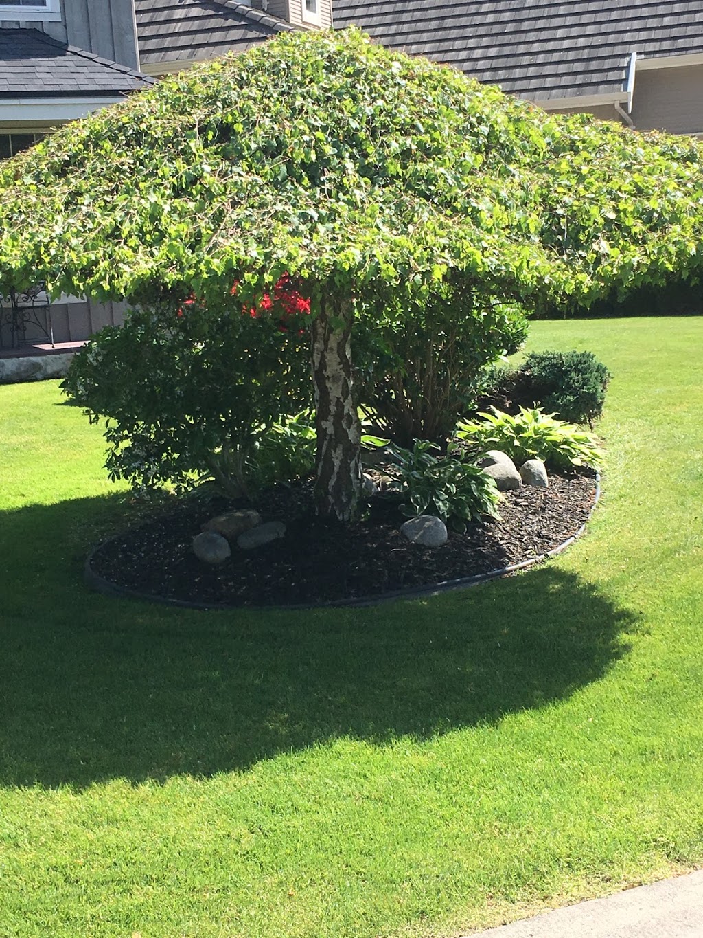 Passionate landscaping | 17453 0 Ave, Surrey, BC V3S 9P3, Canada | Phone: (403) 608-7164