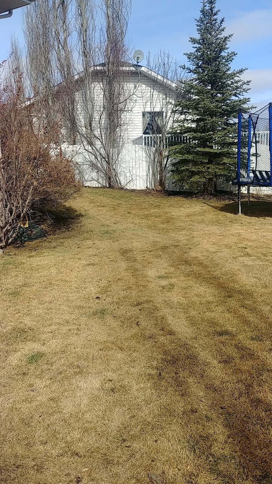 All Season Lawn Care and Snow Removal | 24 Timmons Close, Lacombe, AB T4L 2M7, Canada | Phone: (403) 848-3700