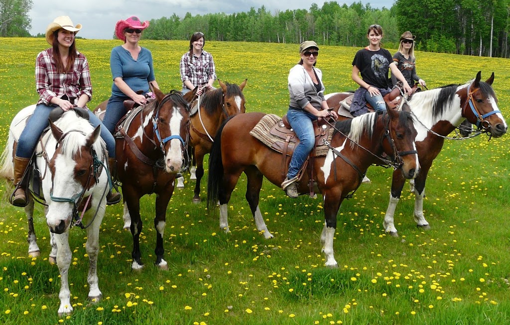 Wildhorse Ranch | 383040A, Range Rd 62, Rocky Mountain House, AB T4T 2A3, Canada | Phone: (403) 729-2910