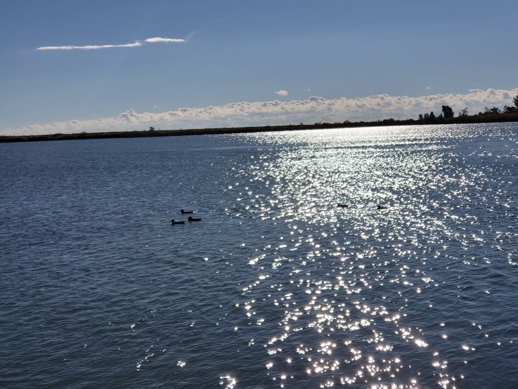 Tommy Thompson Park Floating Bridge | Tommy Thompson Park, Toronto, ON, Canada | Phone: (416) 661-6600