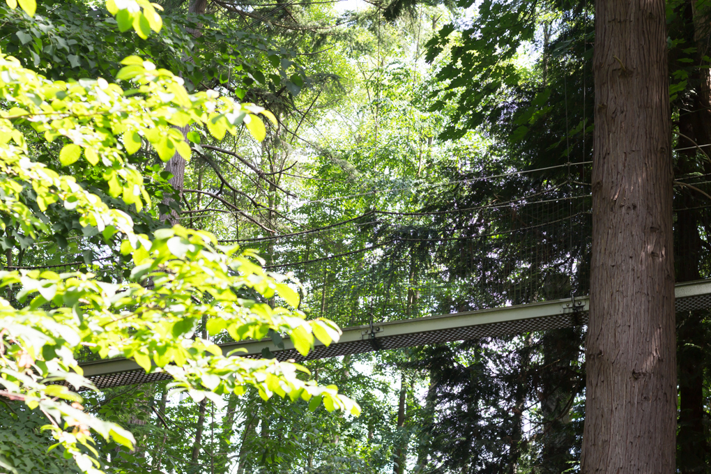 Greenheart TreeWalk | 6804 SW Marine Dr, Vancouver, BC V6T 1Z1, Canada | Phone: (604) 822-3928