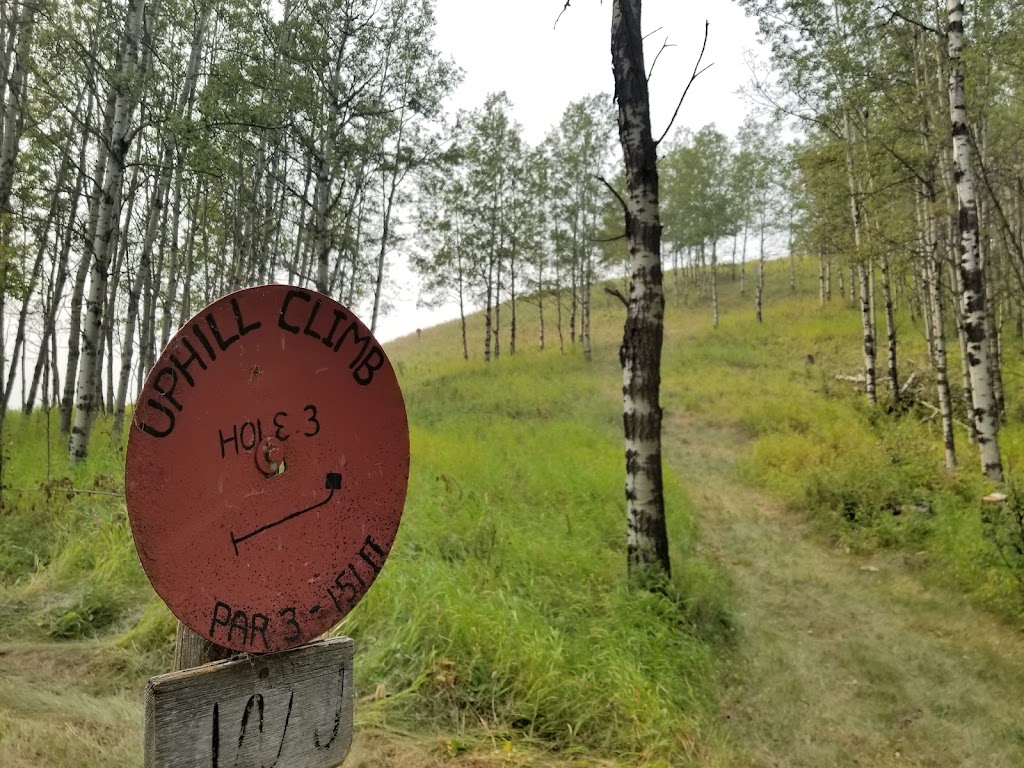 WJ Homestead Disc Golf | 258002 192 St W #10, Alberta T1S 2V3, Canada | Phone: (587) 434-7878